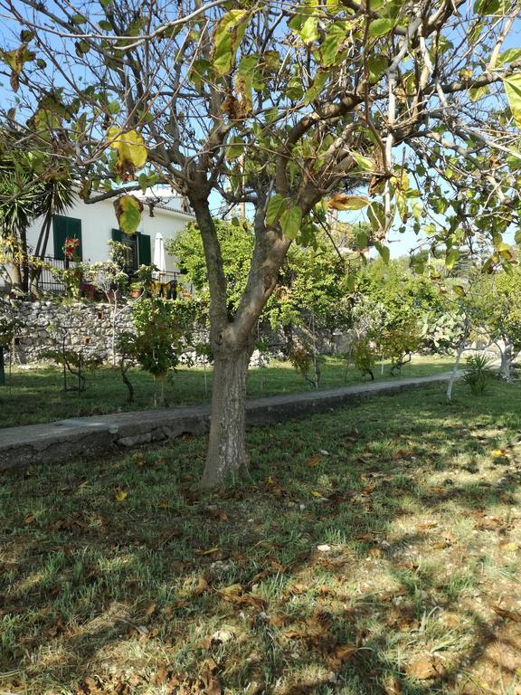 Villa Ninetta-Isabella Gaeta Eksteriør billede